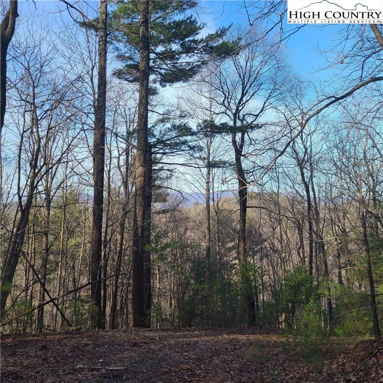Image number 1 for the current listing