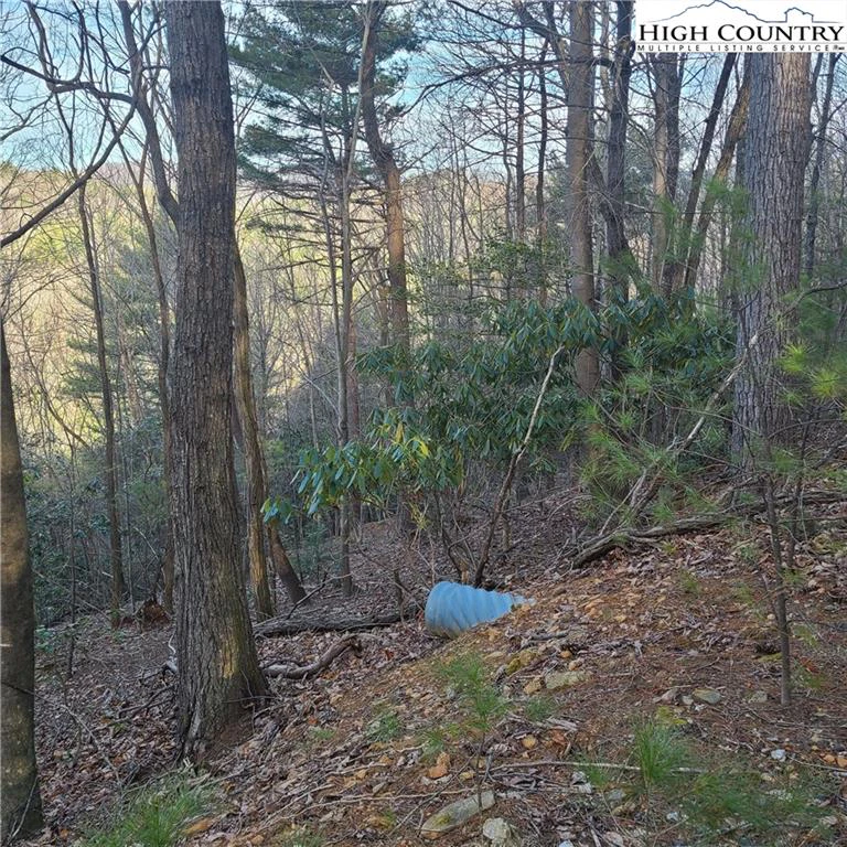 Image number 10 for the current listing