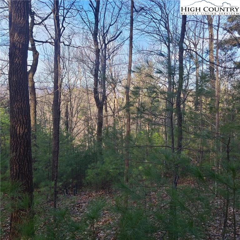 Image number 9 for the current listing