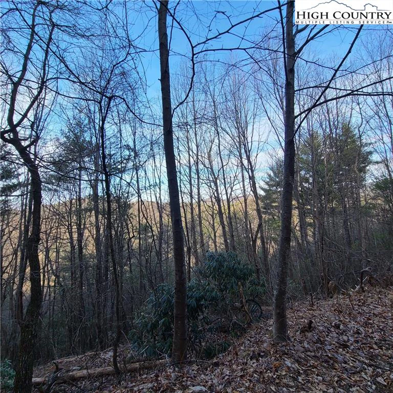 Image number 5 for the current listing