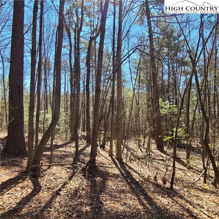 Image number 4 for the current listing