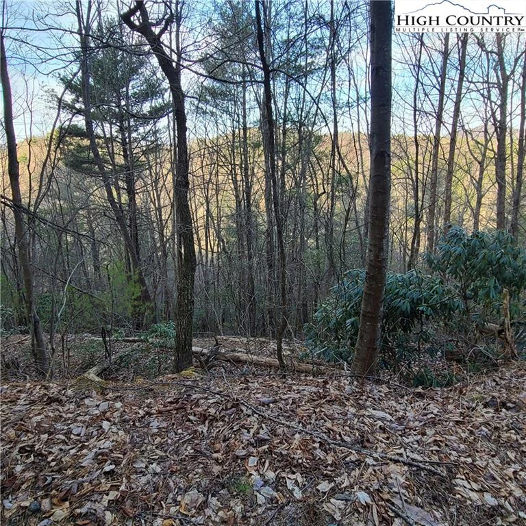 Image number 11 for the current listing