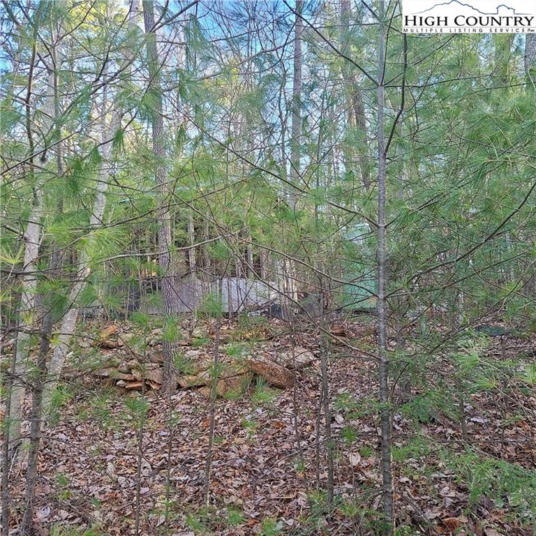 Image number 2 for the current listing