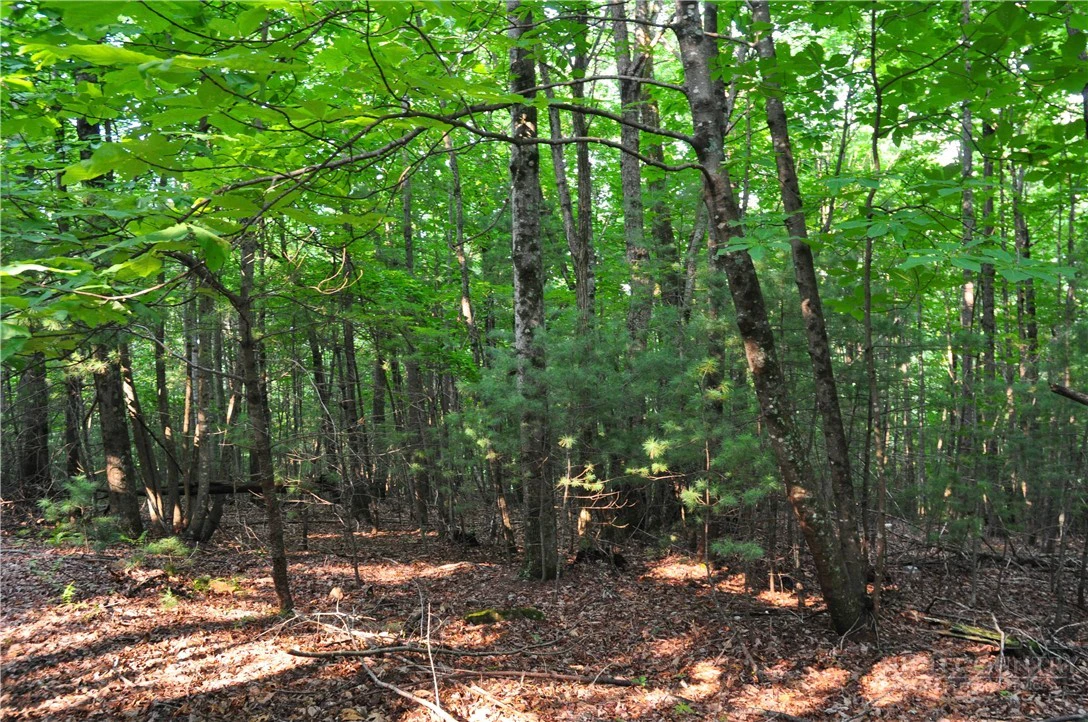 Image number 2 for the current listing