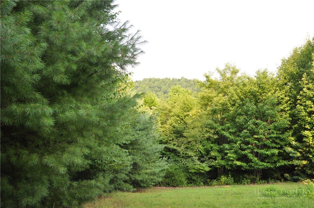 Image number 1 for the current listing