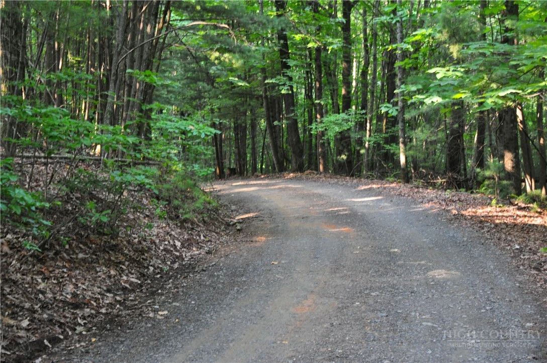 Image number 6 for the current listing