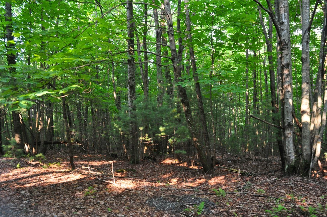 Image number 8 for the current listing