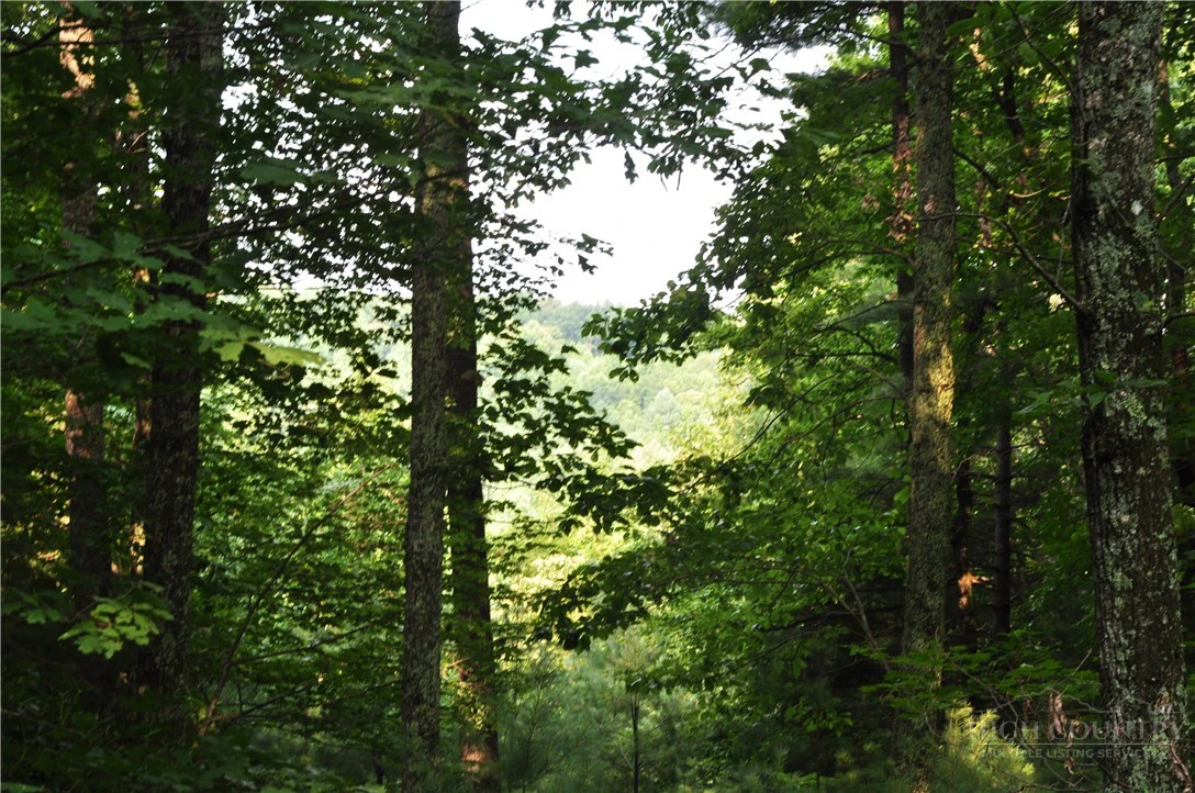 Image number 3 for the current listing