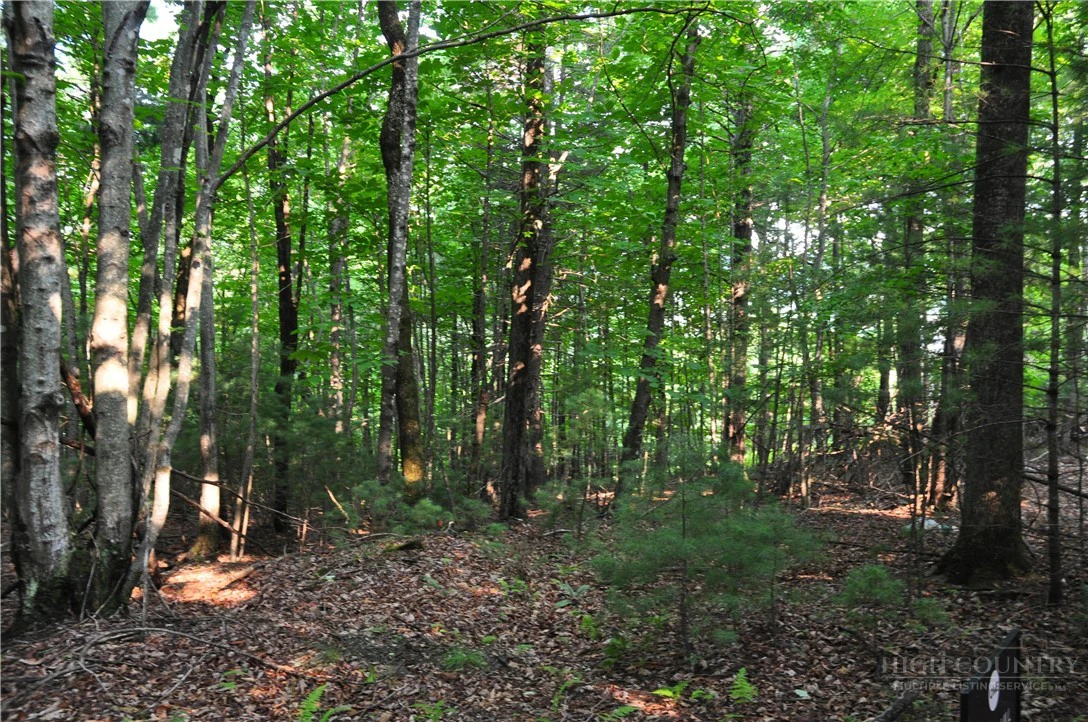Image number 9 for the current listing
