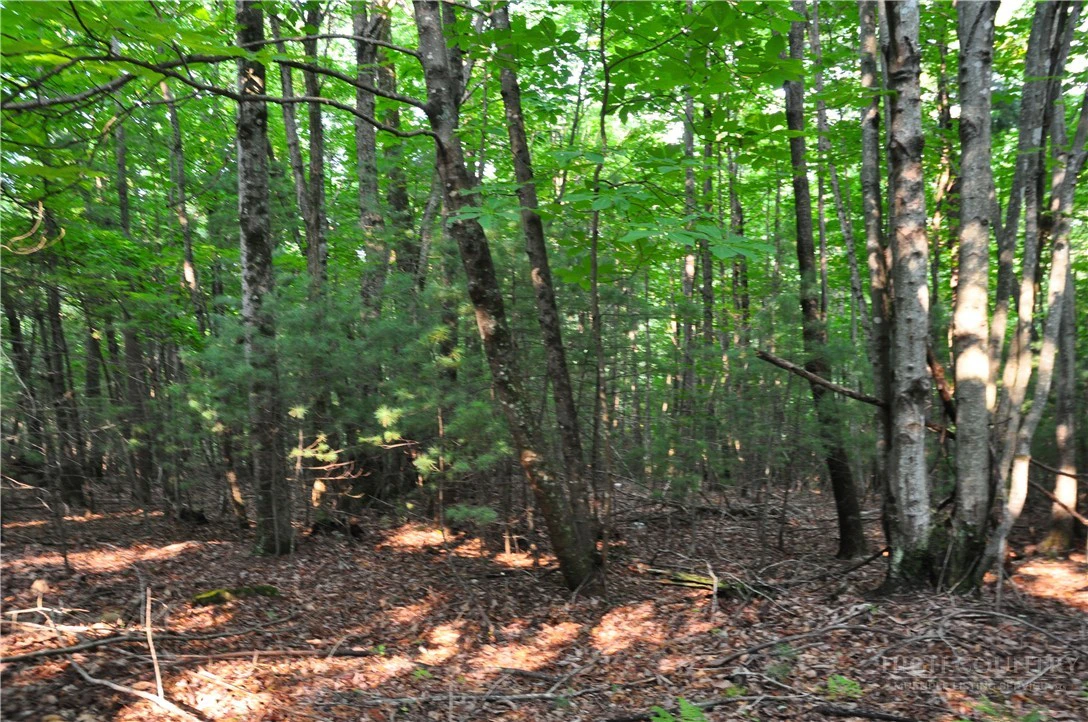 Image number 10 for the current listing