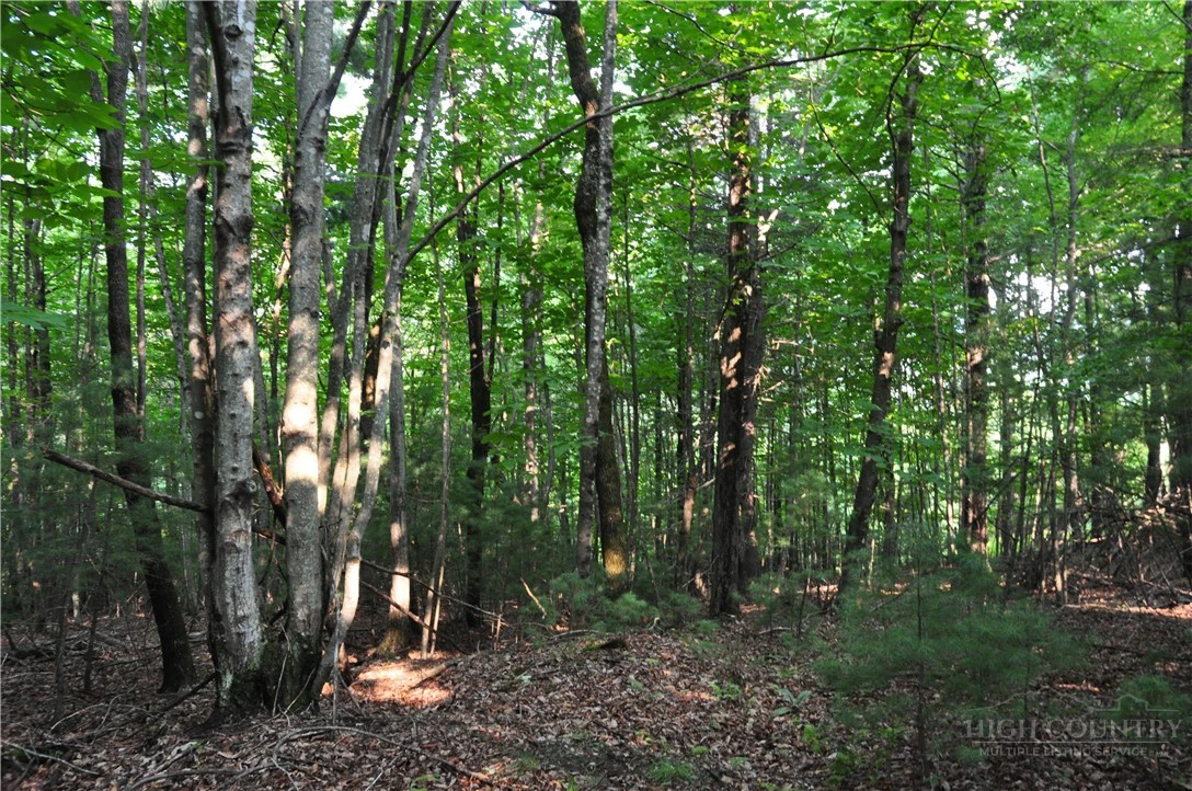Image number 11 for the current listing