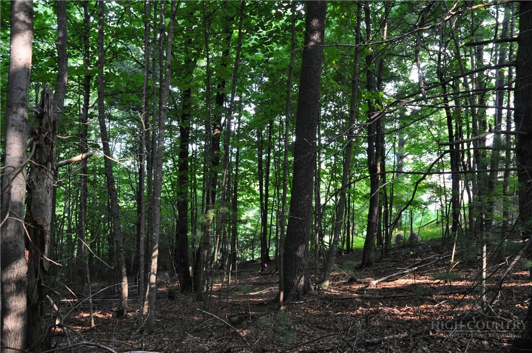 Image number 12 for the current listing