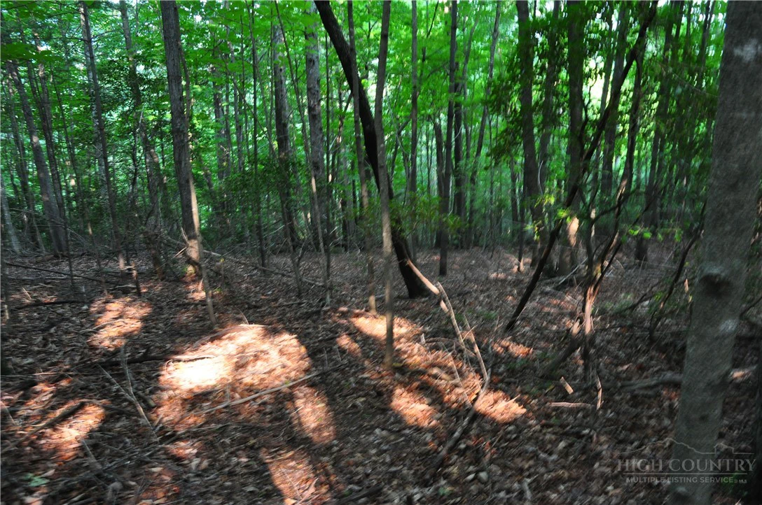Image number 13 for the current listing