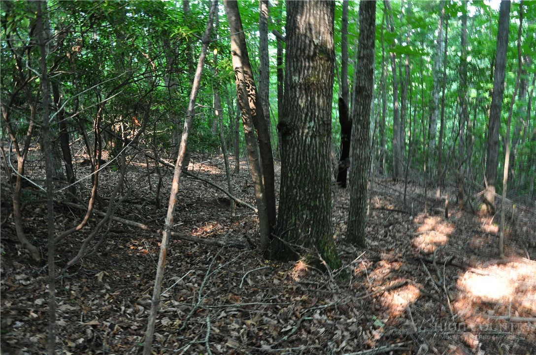 Image number 14 for the current listing