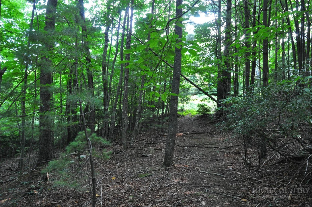 Image number 7 for the current listing
