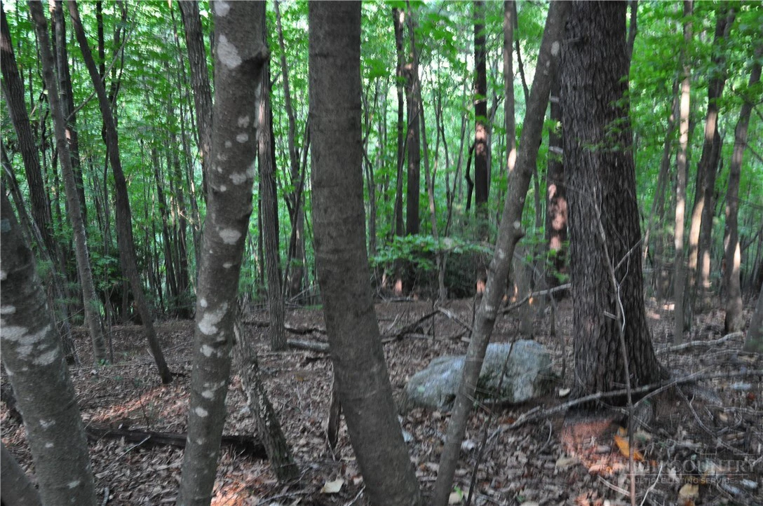 Image number 17 for the current listing