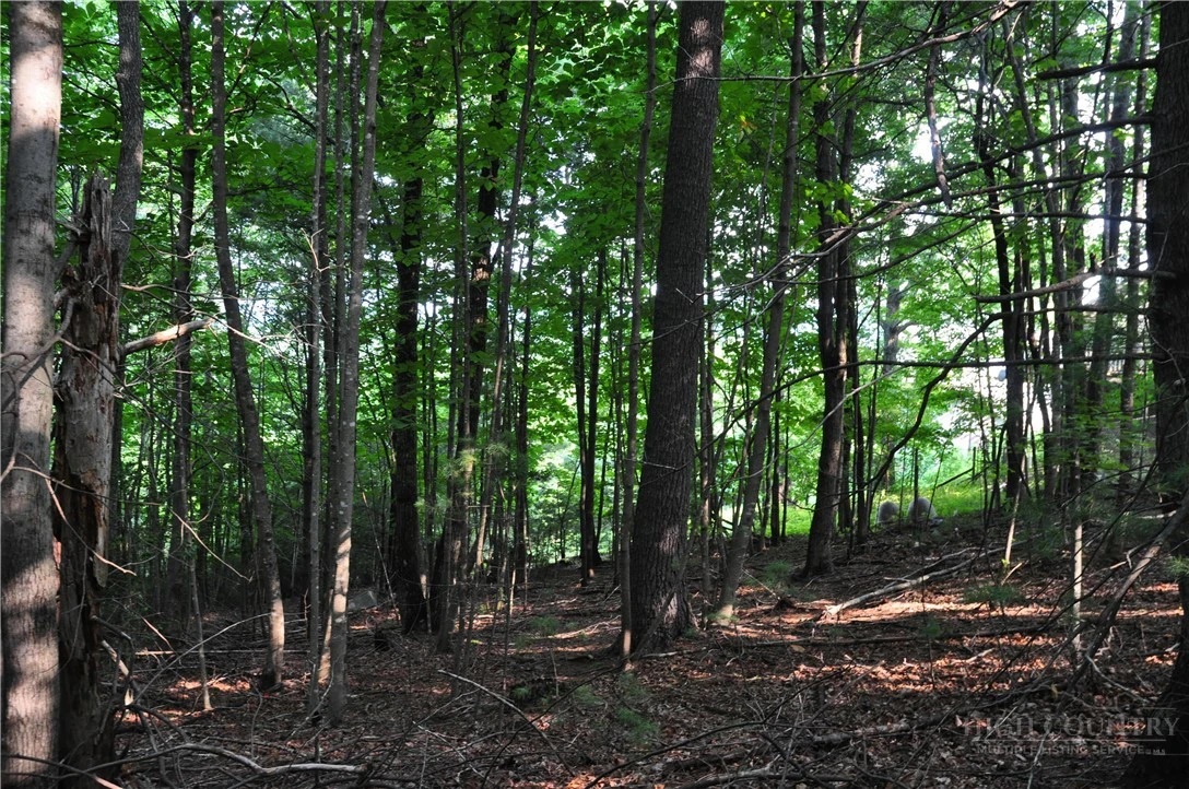 Image number 18 for the current listing