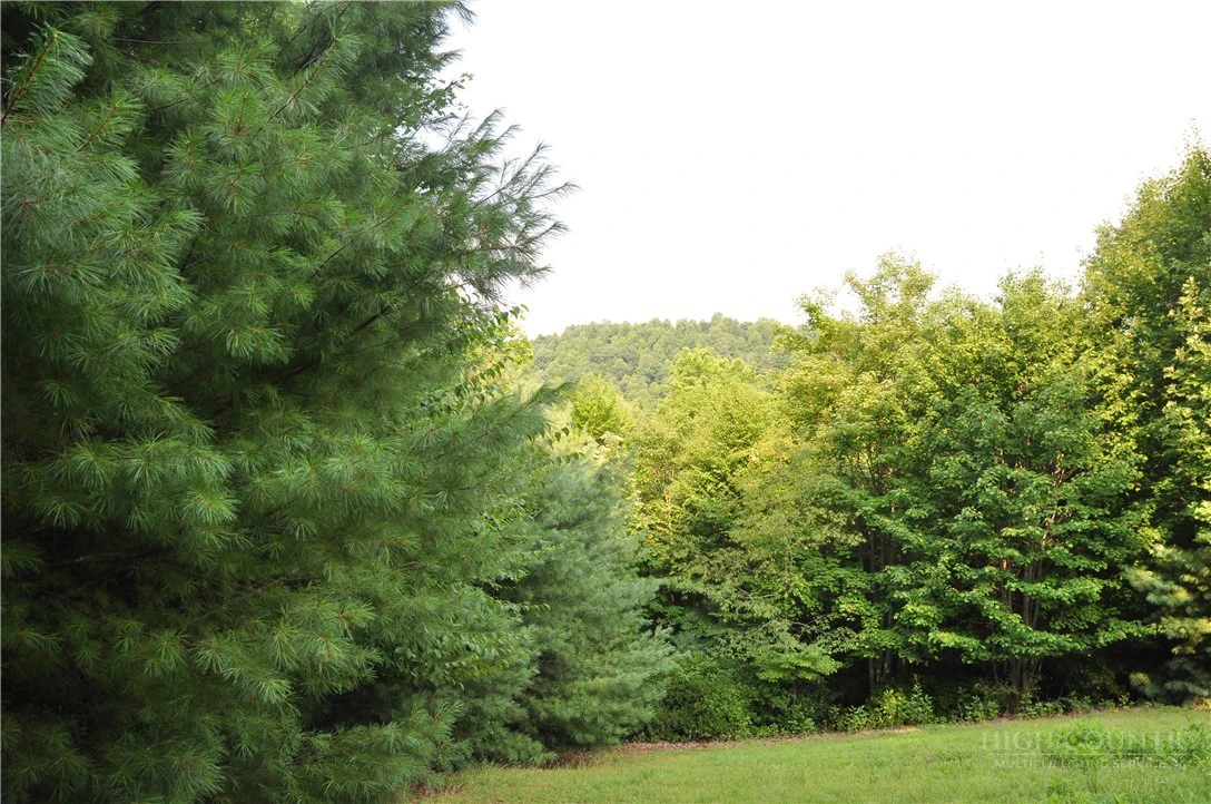 Image number 19 for the current listing