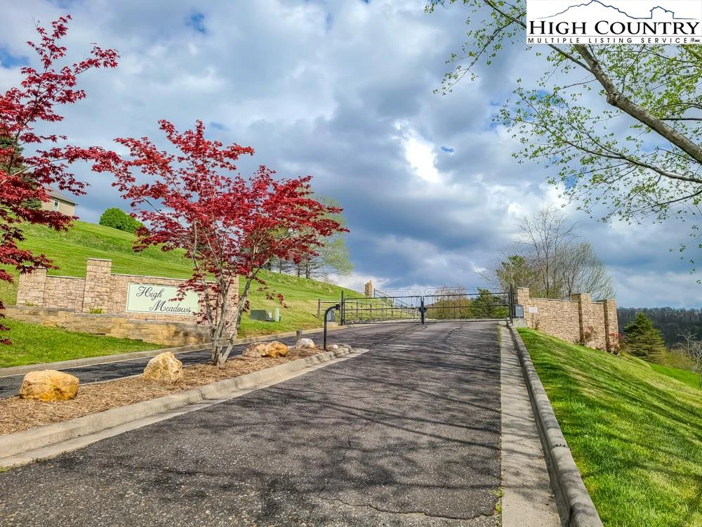 Image number 1 for the current listing