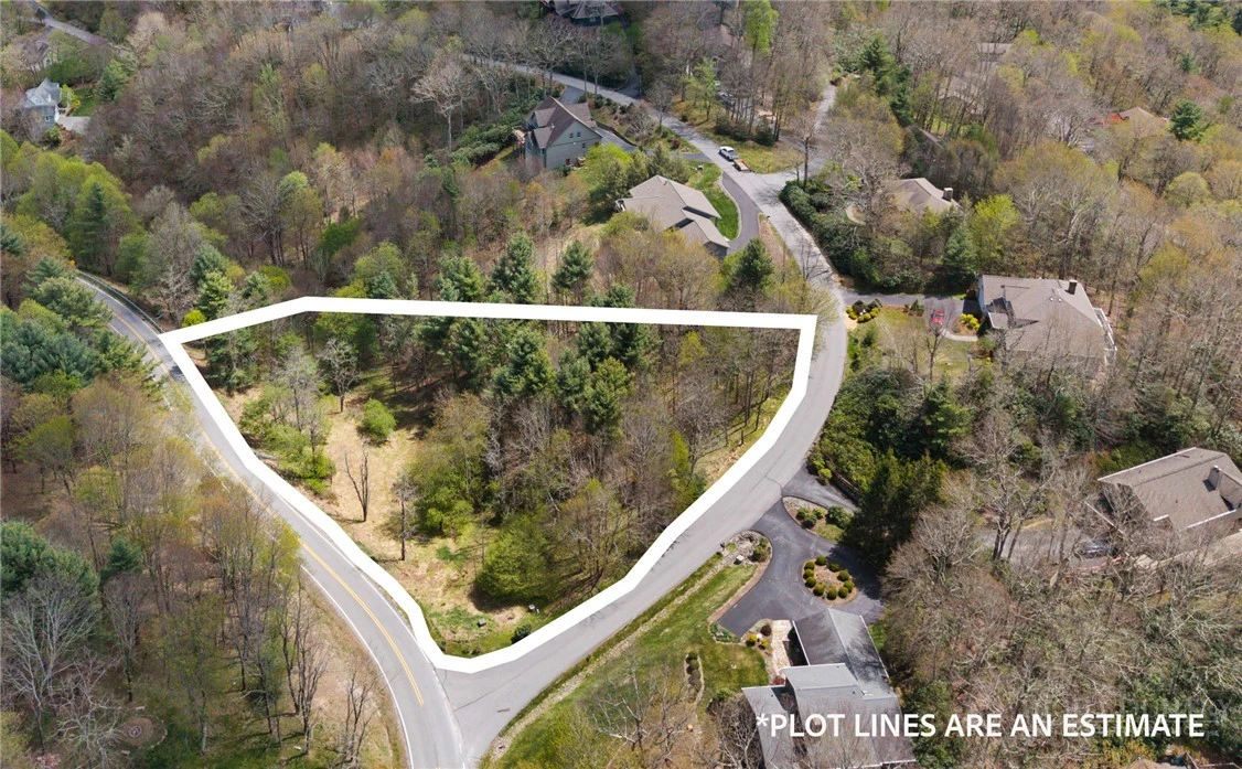 Image number 1 for the current listing