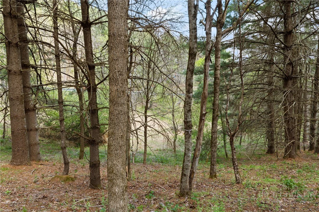 Image number 20 for the current listing