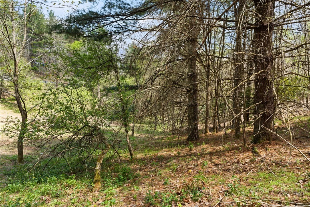 Image number 19 for the current listing