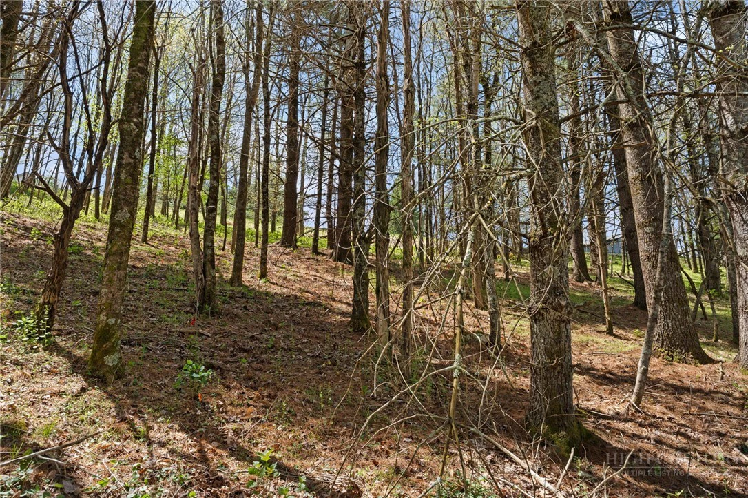 Image number 18 for the current listing