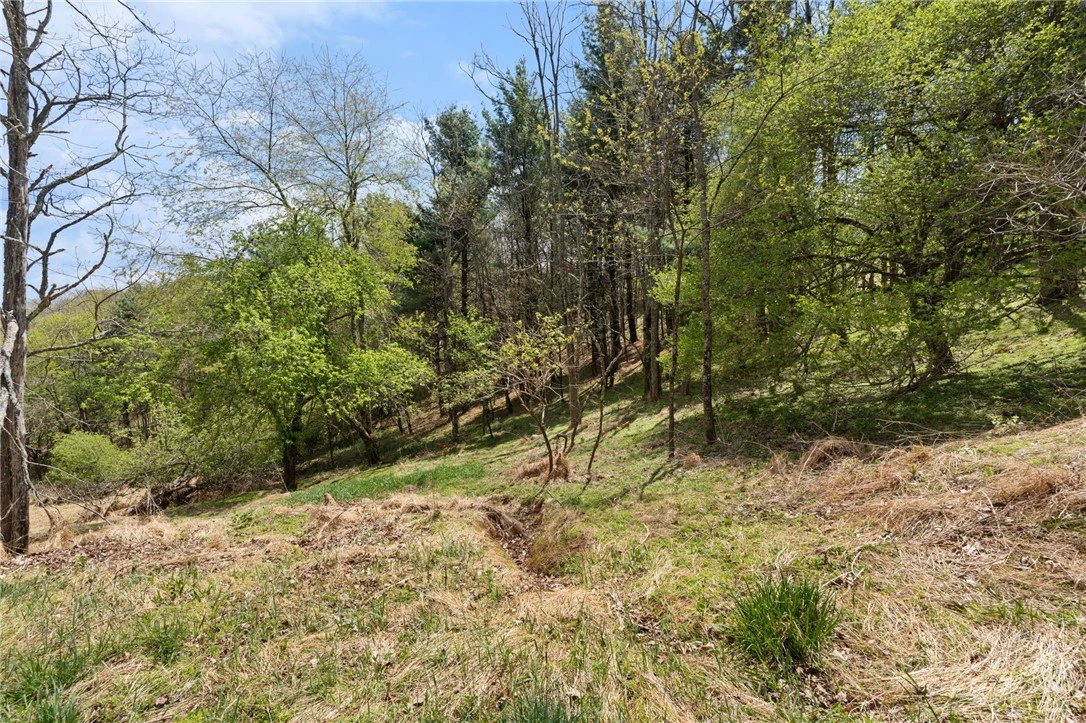 Image number 16 for the current listing