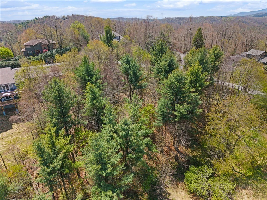 Image number 13 for the current listing