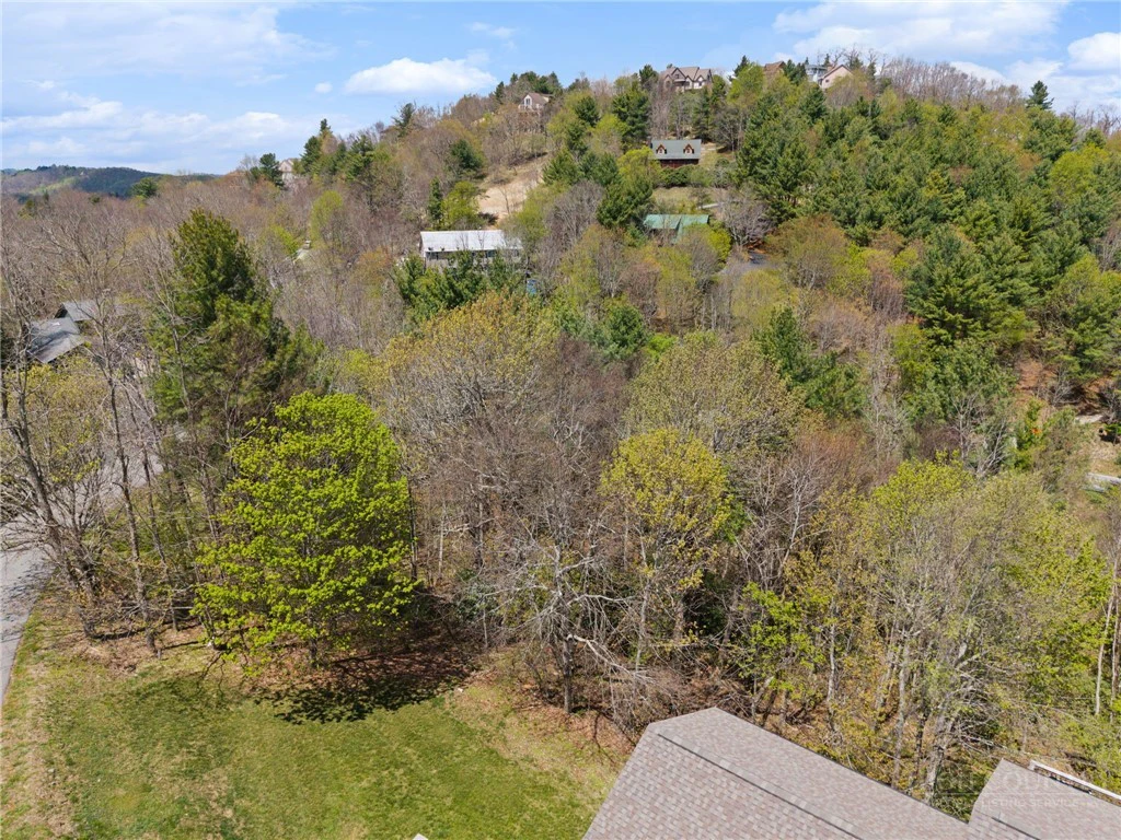 Image number 2 for the current listing