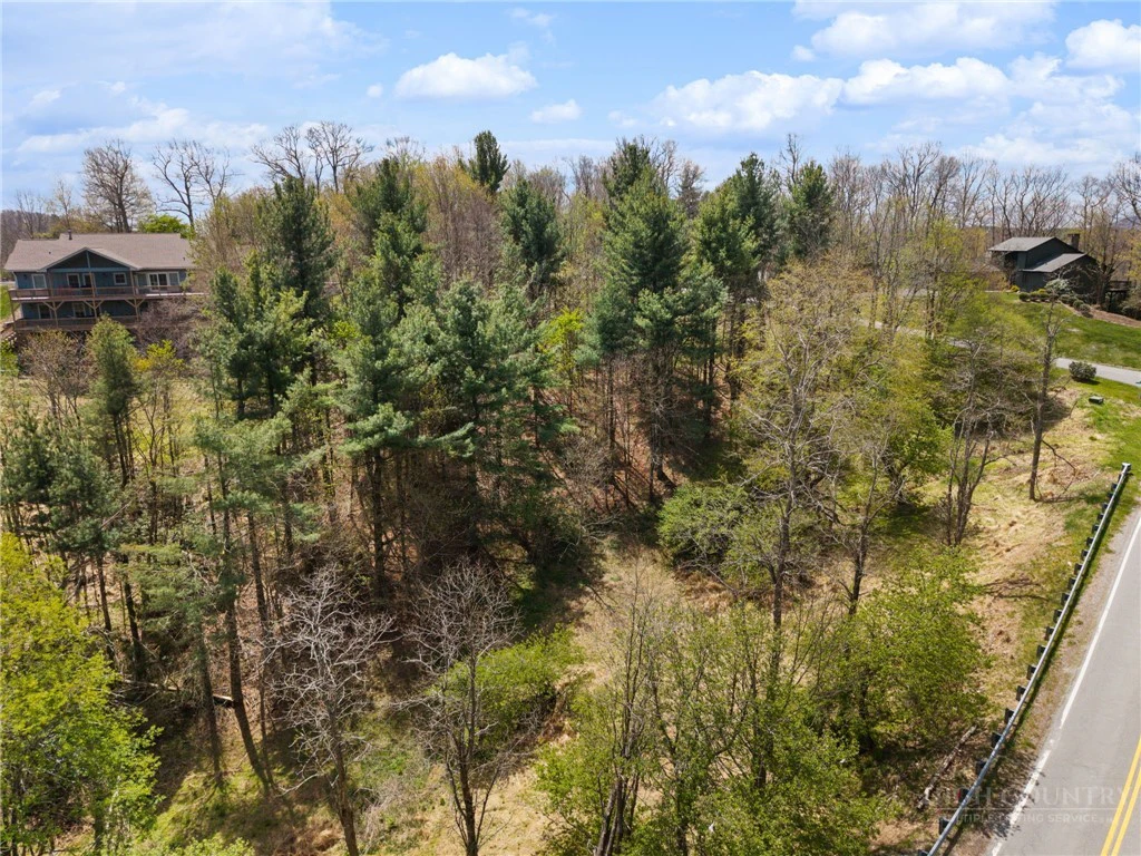 Image number 12 for the current listing