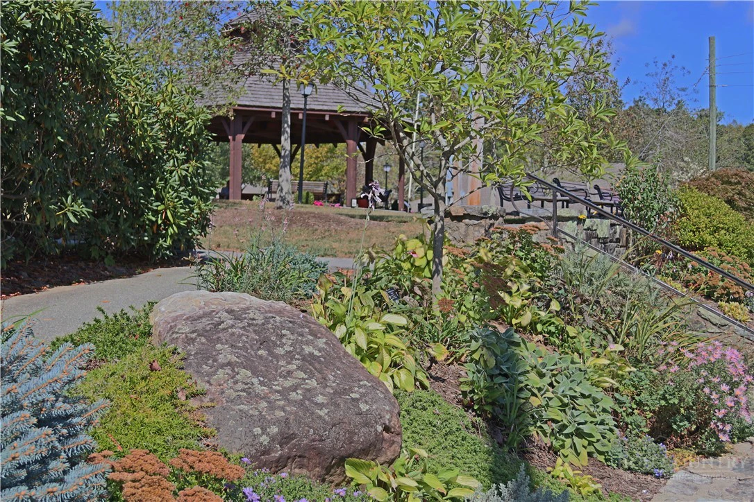 Image number 6 for the current listing