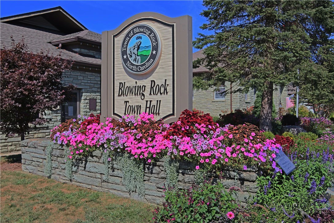 Image number 3 for the current listing