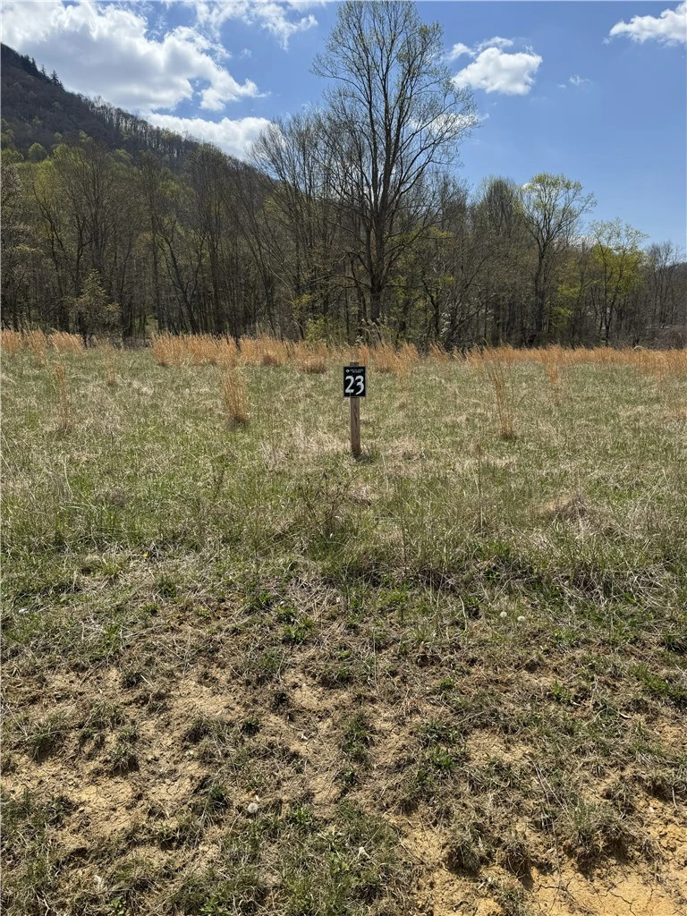 Image number 8 for the current listing