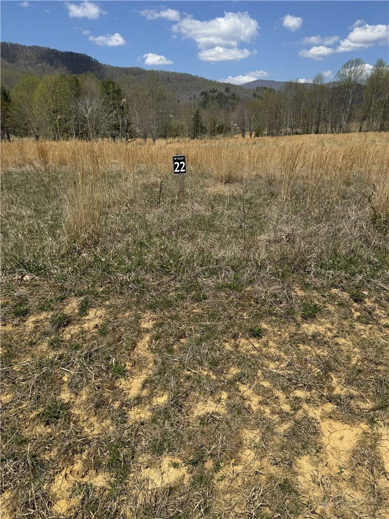 Image number 7 for the current listing