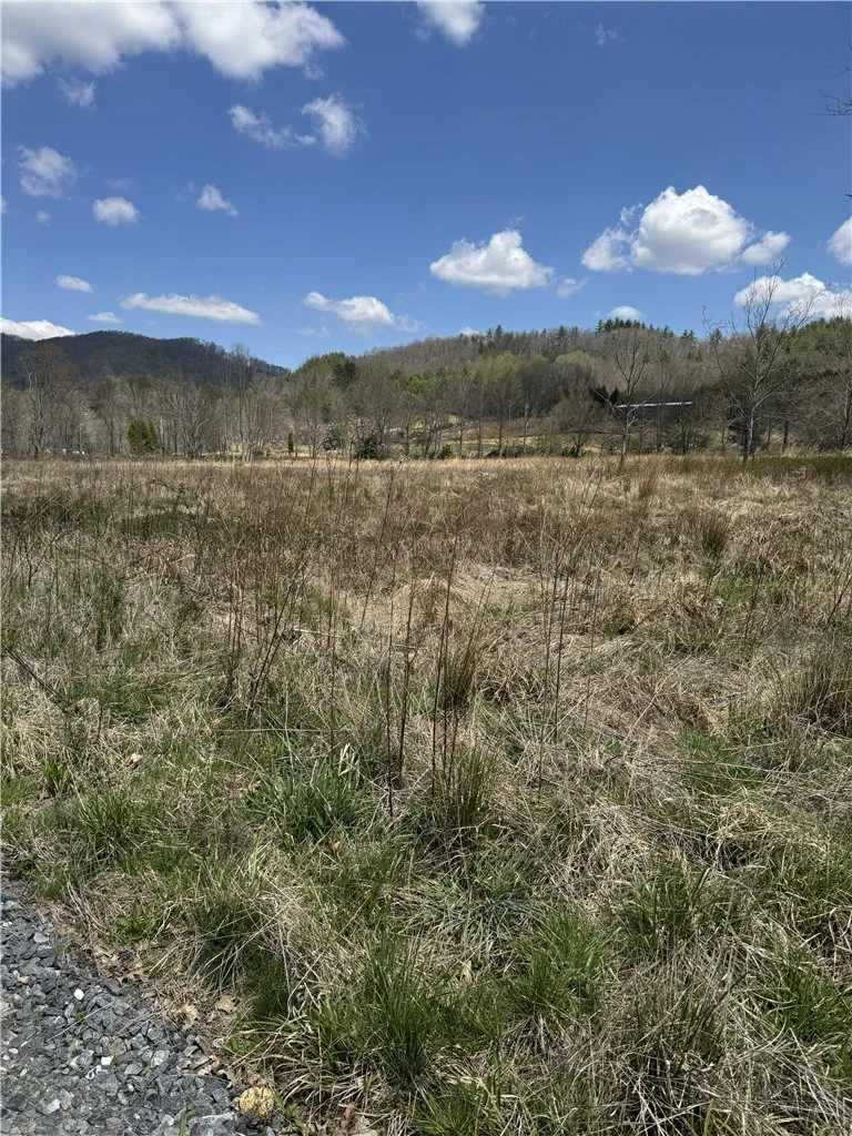 Image number 2 for the current listing