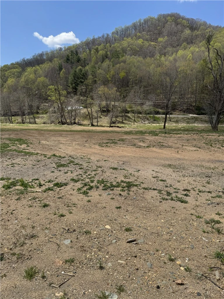 Image number 14 for the current listing