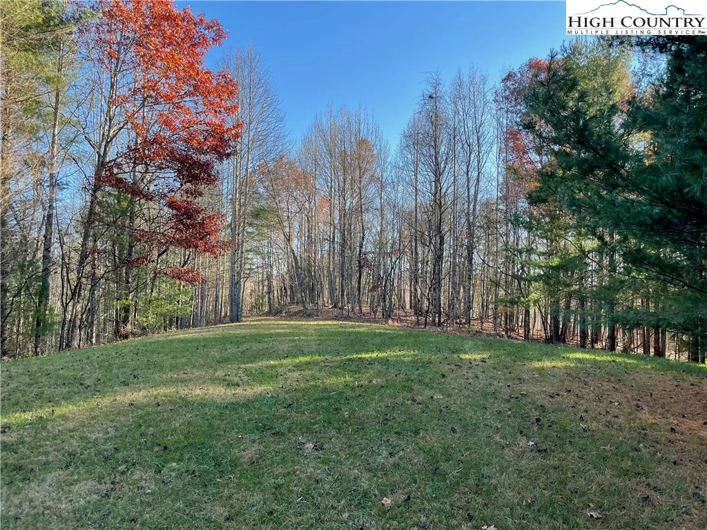 Image number 3 for the current listing