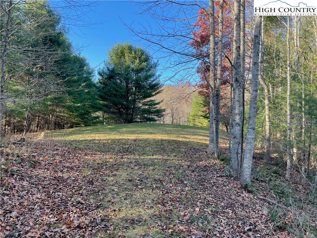 Image number 4 for the current listing