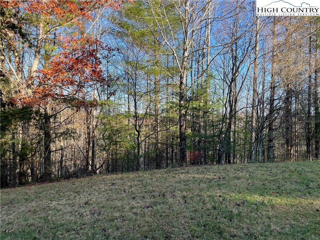 Image number 5 for the current listing