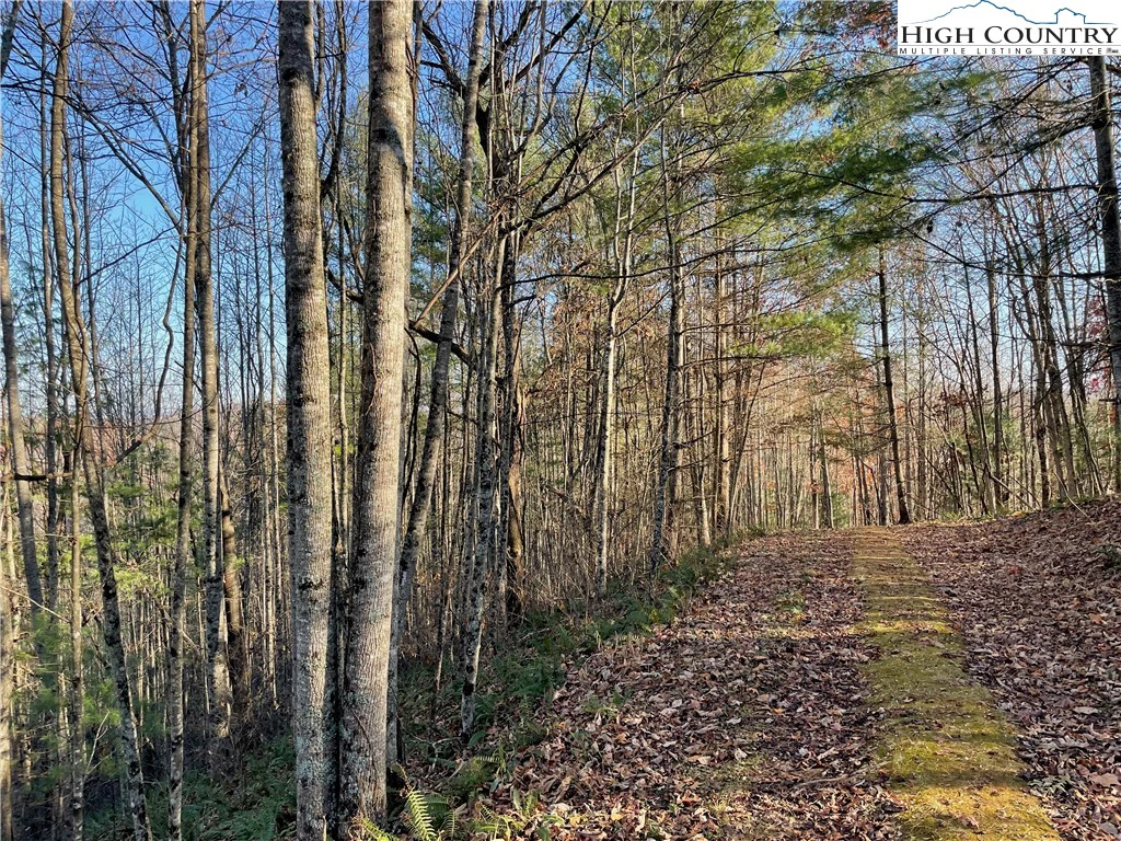 Image number 6 for the current listing