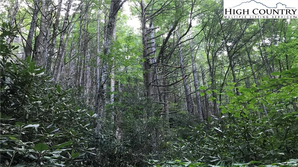 Image number 3 for the current listing