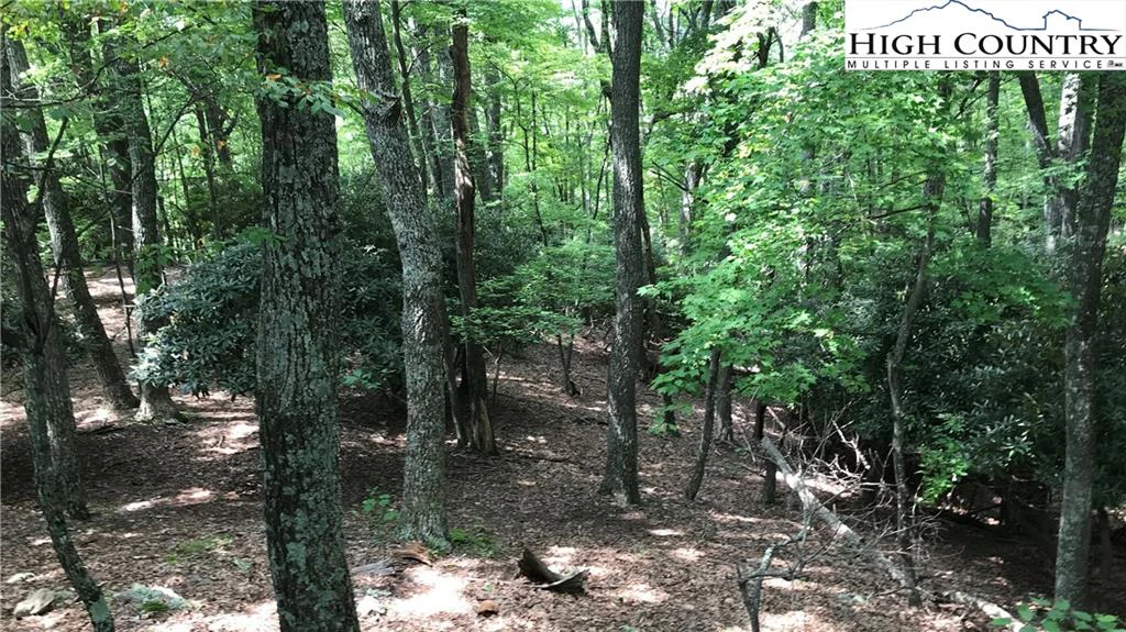 Image number 7 for the current listing