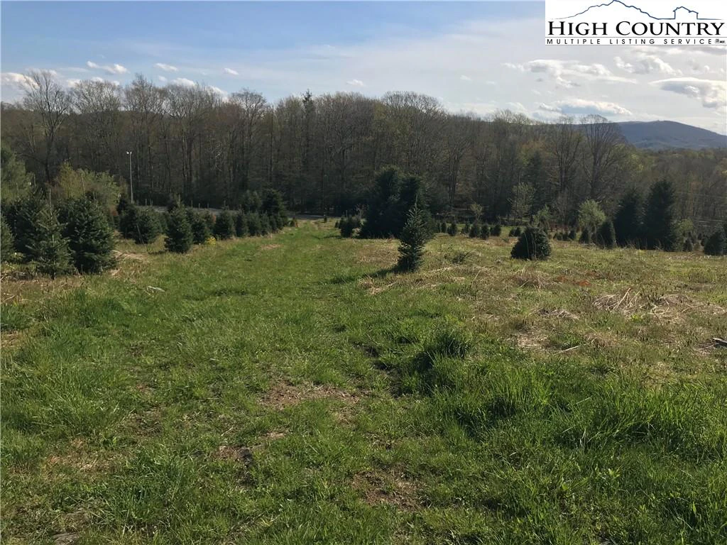 Image number 1 for the current listing