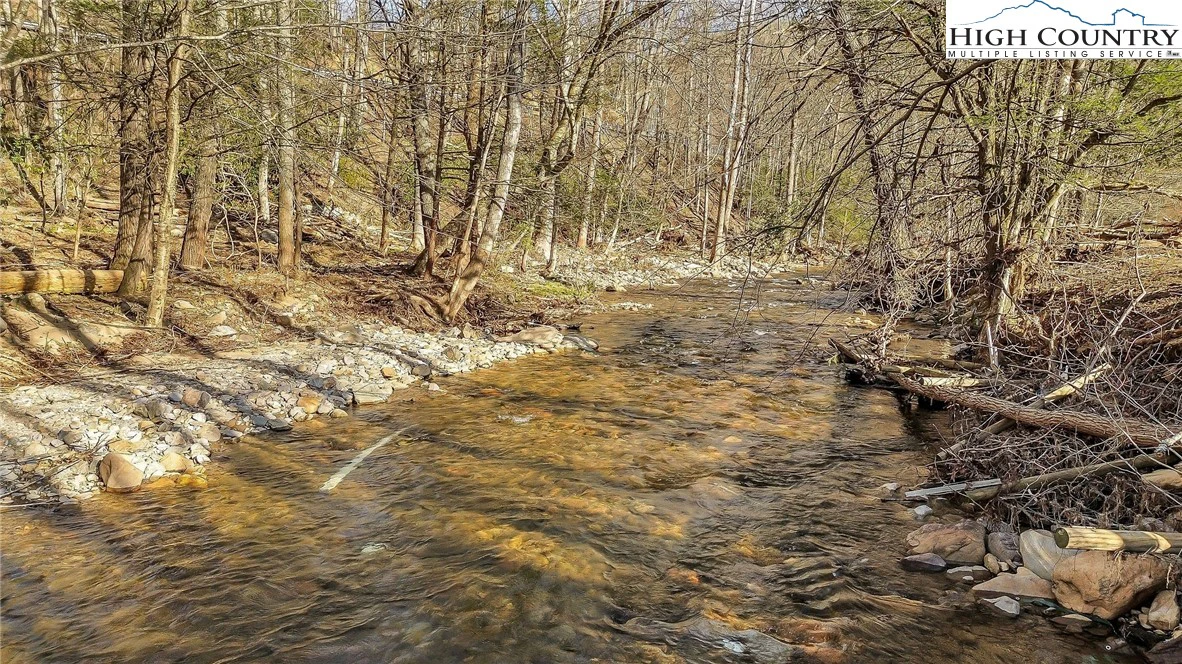 Image number 4 for the current listing