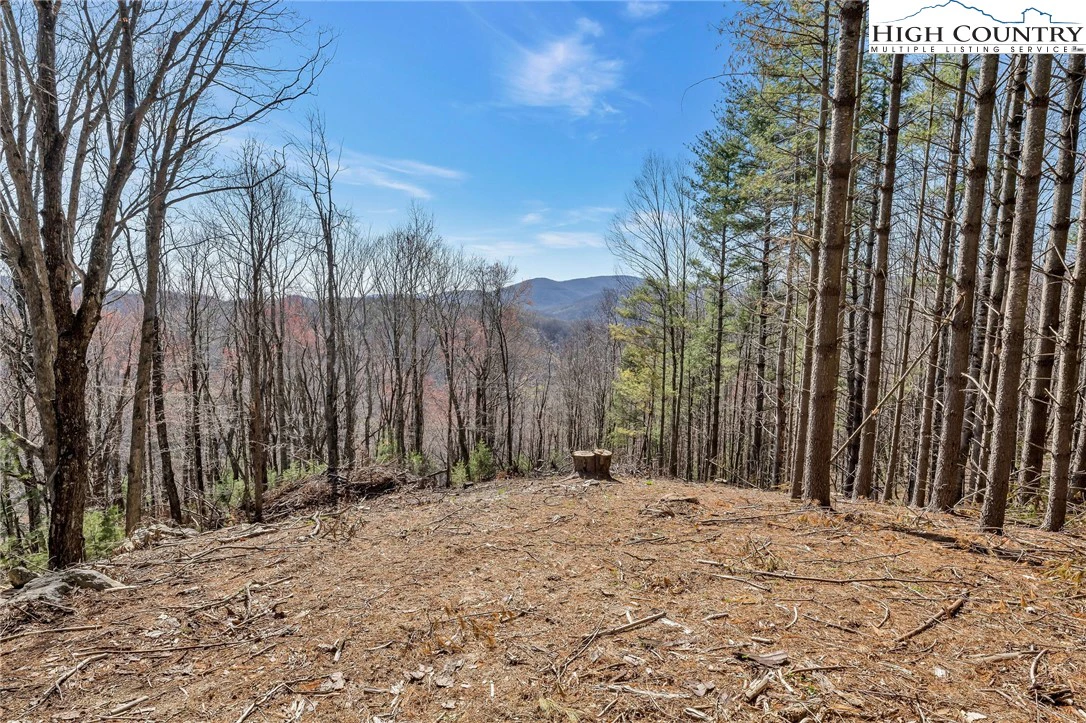 Image number 7 for the current listing
