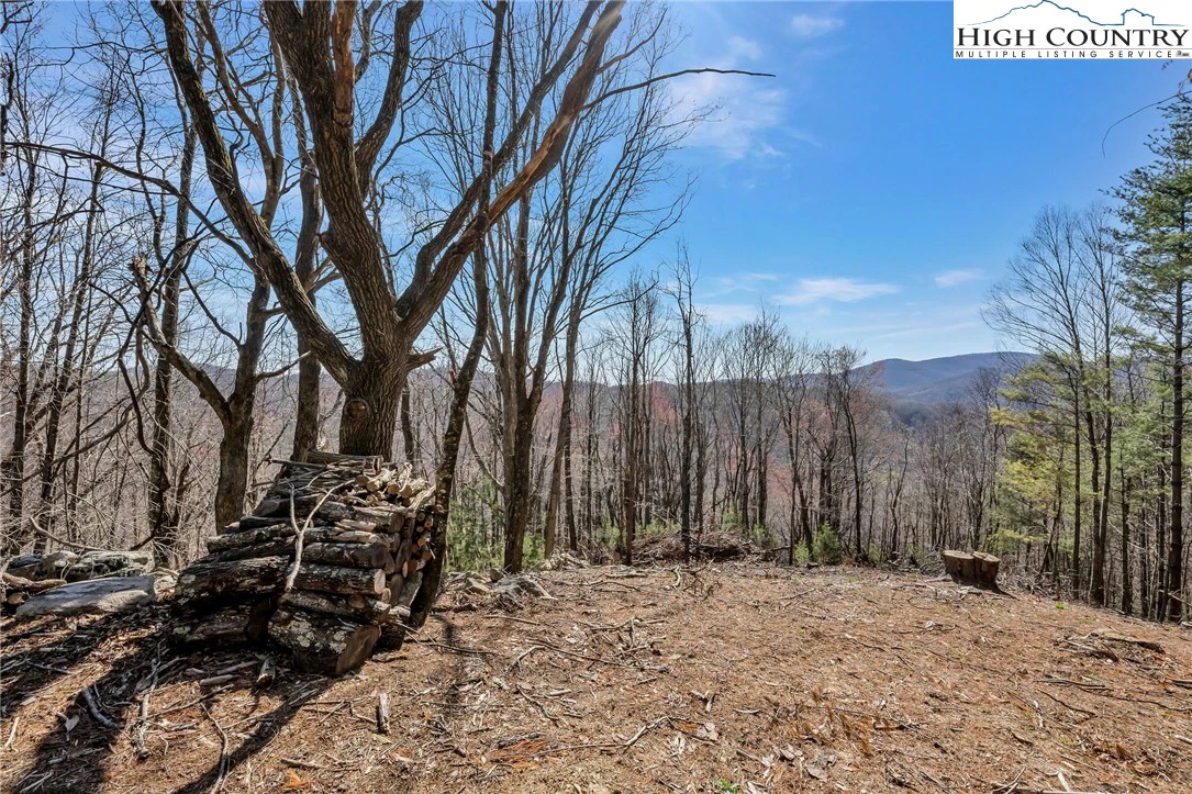 Image number 8 for the current listing