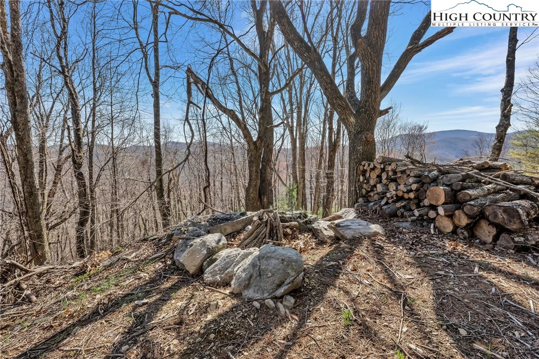 Image number 9 for the current listing
