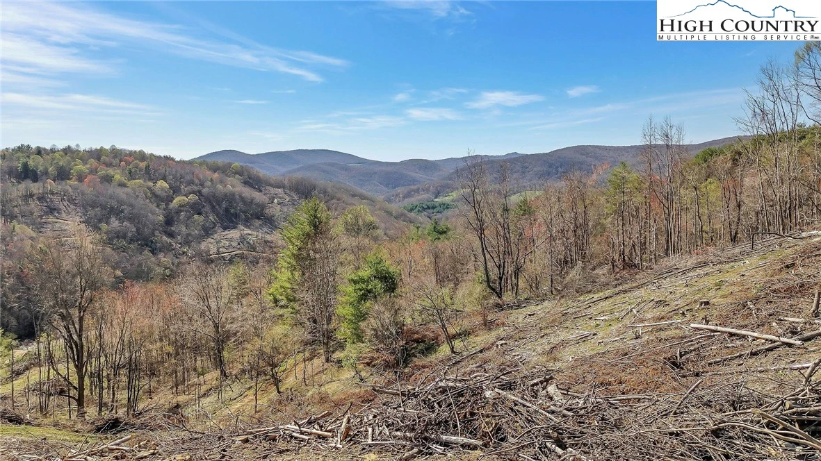 Image number 1 for the current listing