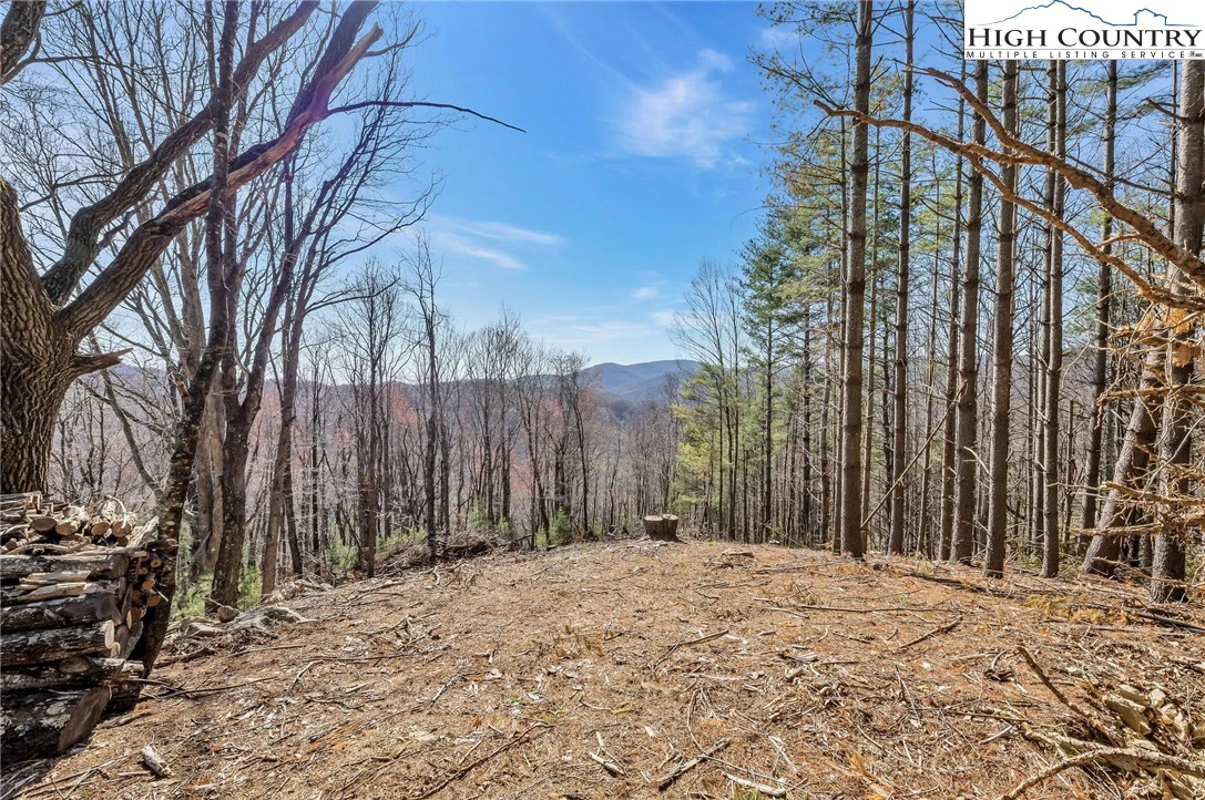 Image number 10 for the current listing
